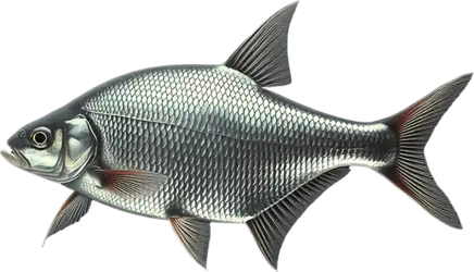Крючки Owner Carp Tsuyoshi 50923 C-3 №02 Black купить в Киеве и